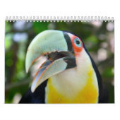 2010カレンダー、ブラジルの鳥 カレンダー (カバー)