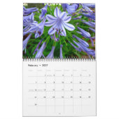 2010カレンダー-公園の歩行 カレンダー (2月 2027)