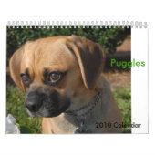 2010カレンダー、Puggles カレンダー (カバー)