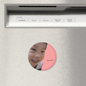 2010グリン マグネット (インサイチュ (食洗機))