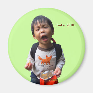 2010チップ マグネット