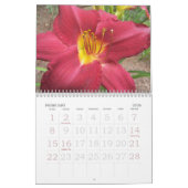 2010匹のワスレグサ カレンダー (2月 2026)