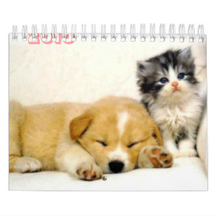 2010匹の動物のカレンダー カレンダー