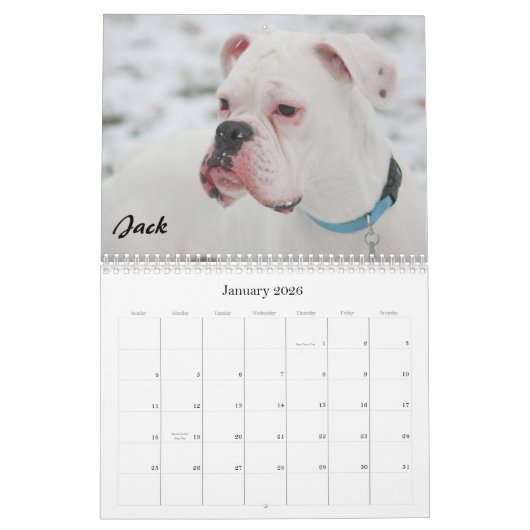 2010年の紀元前にカレンダー-明白なスタイル カレンダー (1月 2026)