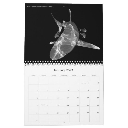 2010年カレ最高のンダー海中写真 カレンダー (1月 2027)
