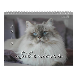 2010年シベリア猫・子猫2 カレンダー