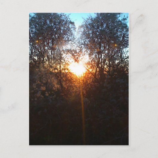 2010年ハートビームデック ポストカード (正面)