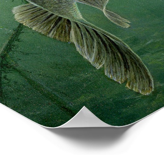 2010年最高のA.ハンターによる全国公演 ポスター (角)