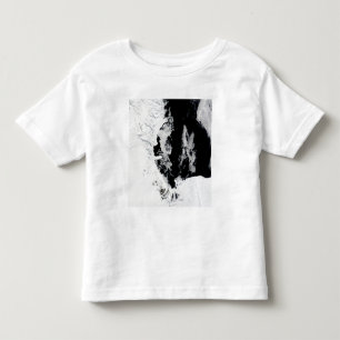 2010年1月18日-ロス海、南極大陸 トドラーTシャツ