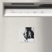 2010年1月18日 – ロス海、南極 マグネット (インサイチュ (食洗機))