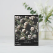 2010年1月 ポストカード (スタンド正面)