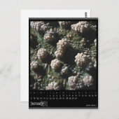 2010年1月 ポストカード (正面/裏面)