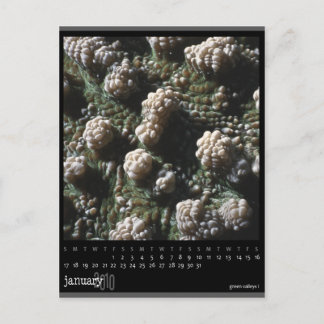 2010年1月 ポストカード