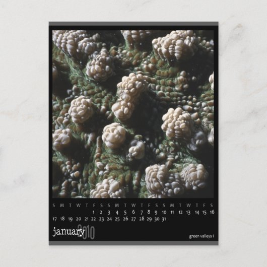 2010年1月 ポストカード (正面)