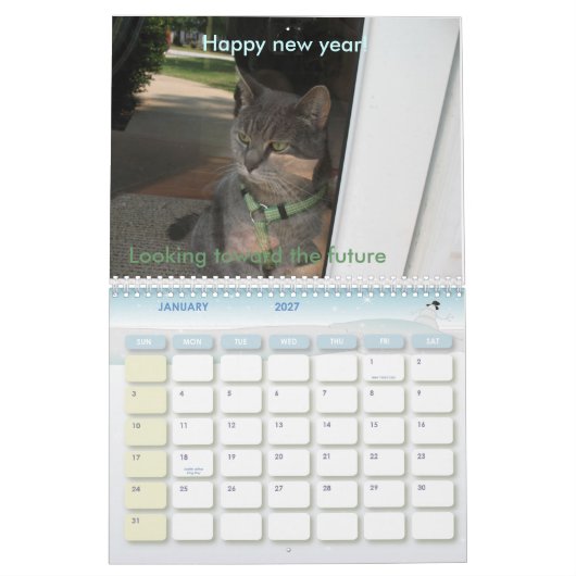 2010年: 猫との年 カレンダー (1月 2027)