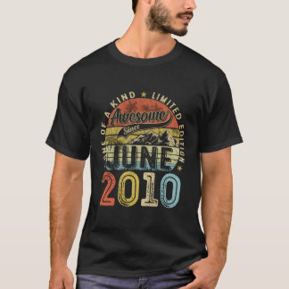 2010素晴らし年6月13日以来13 Tシャツ