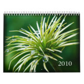 2010色写真撮影のカレンダー カレンダー (カバー)