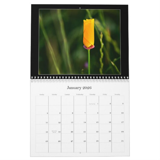 2010色写真撮影のカレンダー カレンダー (1月 2026)