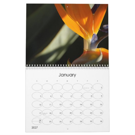 2010花柄のカレンダー カレンダー (1月 2027)