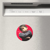 2010 怒 マグネット (インサイチュ (食洗機))