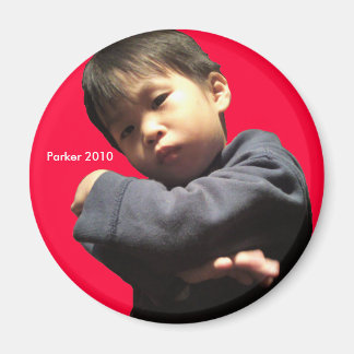 2010 怒 マグネット