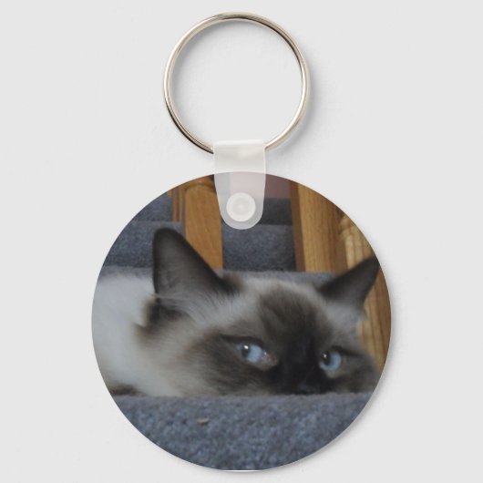 2010_03020009 キーホルダー (正面)