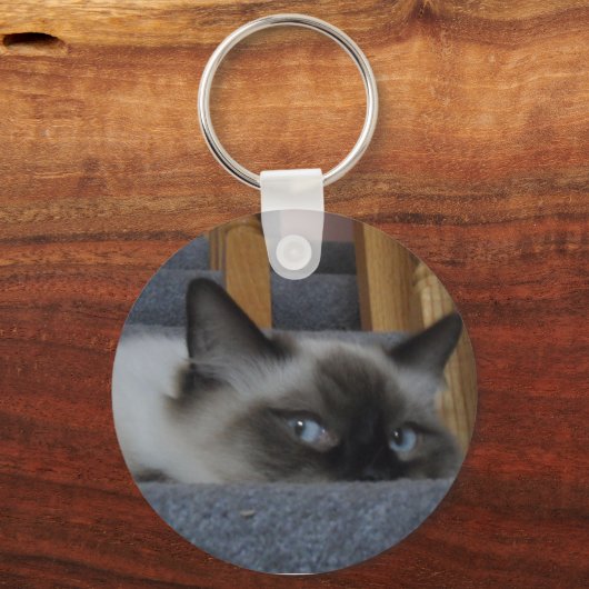 2010_03020009 キーホルダー (正面)