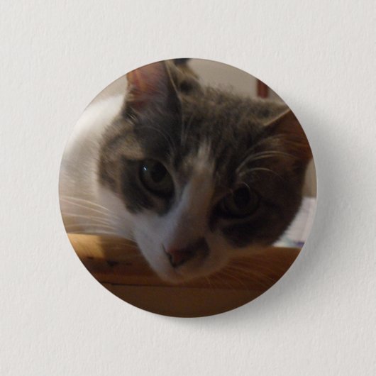 2010_04020026 缶バッジ (正面)