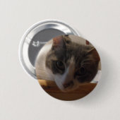 2010_04020026 缶バッジ (正面&裏面)