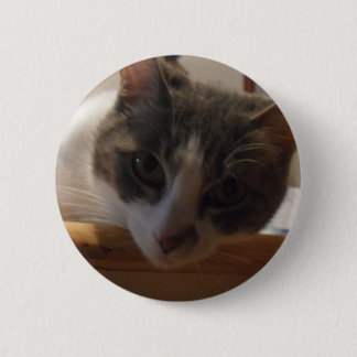 2010_04020026 缶バッジ