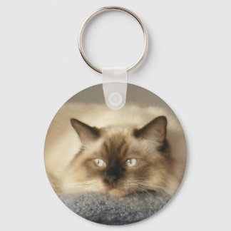 2010_04240003 キーホルダー