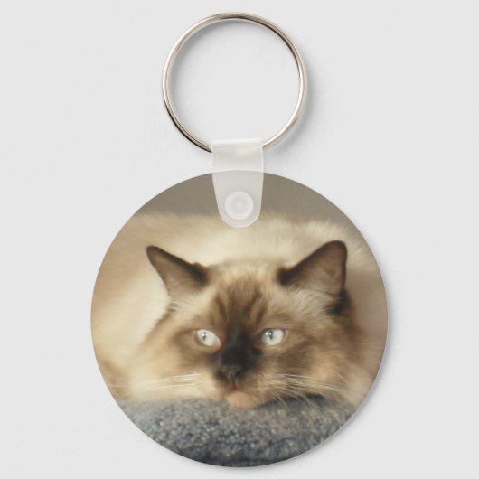 2010_04240003 キーホルダー (正面)