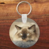 2010_04240003 キーホルダー (正面)