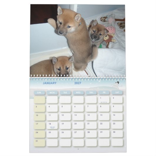 2010 Shibaの年 カレンダー (1月 2027)