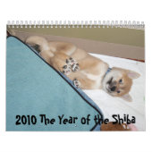 2010 Shibaの年 カレンダー (カバー)