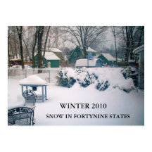 2010, SNOW IN FORTYNINE州ポスター