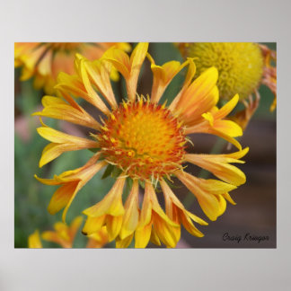 2010f_may、クリーグ・クリーガー ポスター