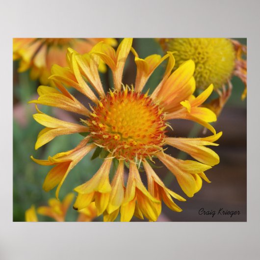 2010f_may、クリーグ・クリーガー ポスター (正面)