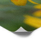 2010f_may、クリーグ・クリーガー ポスター (角)