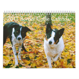 ボーダー コリー 犬カレンダー 壁掛けカレンダー Zazzle Co Jp