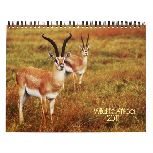 2011のカレンダー-野性生物アフリカ カレンダー (カバー)