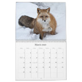 2011カレンダー カレンダー (3月 2026)