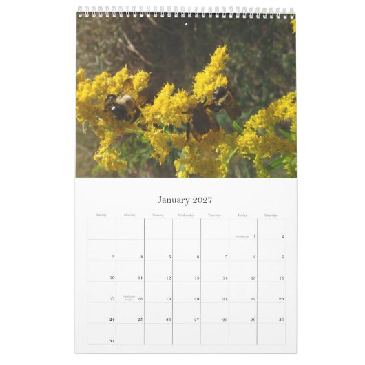 2011カレンダー カレンダー (1月 2027)