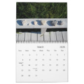 2011カレンダー カレンダー (3月 2026)