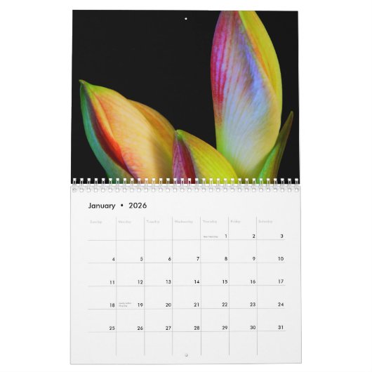 2011カレンダー-花 カレンダー (1月 2026)