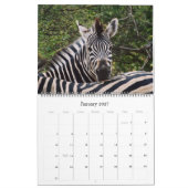 2011匹のカレンダーアフリカ動物の膨大なサイズ カレンダー (1月 2027)