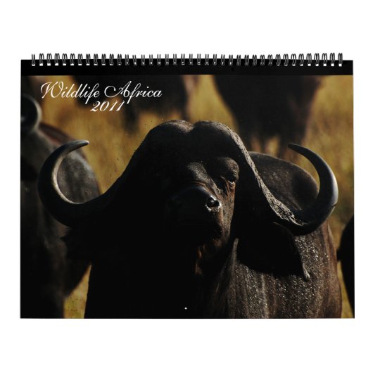 2011匹のカレンダーアフリカ動物の膨大なサイズ カレンダー (カバー)