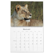 2011匹のカレンダーアフリカ動物の膨大なサイズ カレンダー (3月 2027)