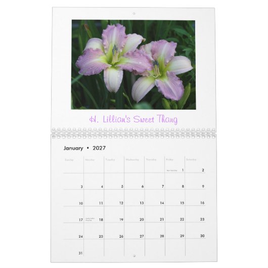 2011年のワスレグサのカレンダー            … カレンダー (1月 2027)