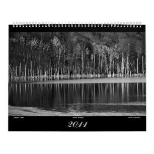 2011年の写真カレンダー(大きい) カレンダー